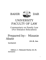 Family Law Distance by Mizane edited.doc